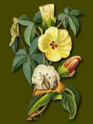 Arboreal Intensive poster