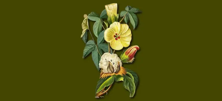 Arboreal Intensive poster