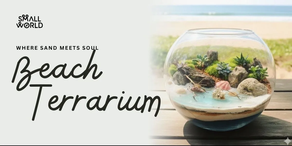Beach Terrarium Workshop
