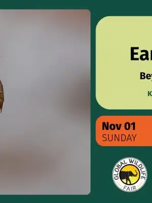 Beyond the Birdlist poster