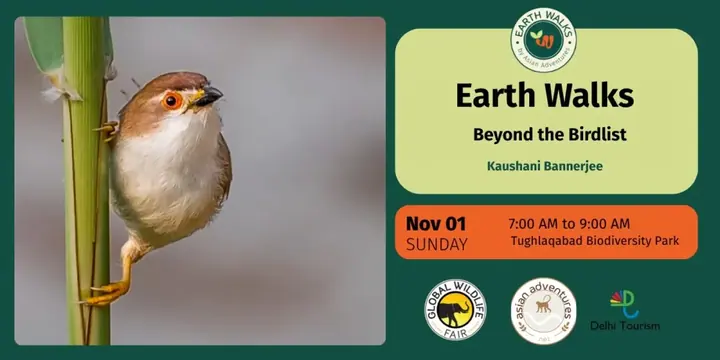 Beyond the Birdlist poster