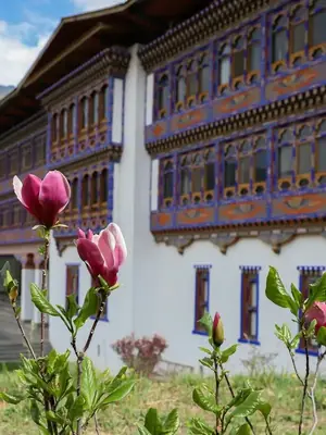 Bhutan's Phobjikha Valley poster