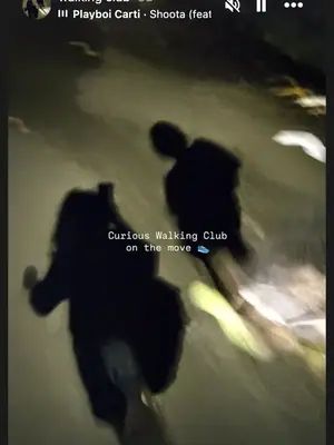 Curious Walking Club — New Delhi #2 poster