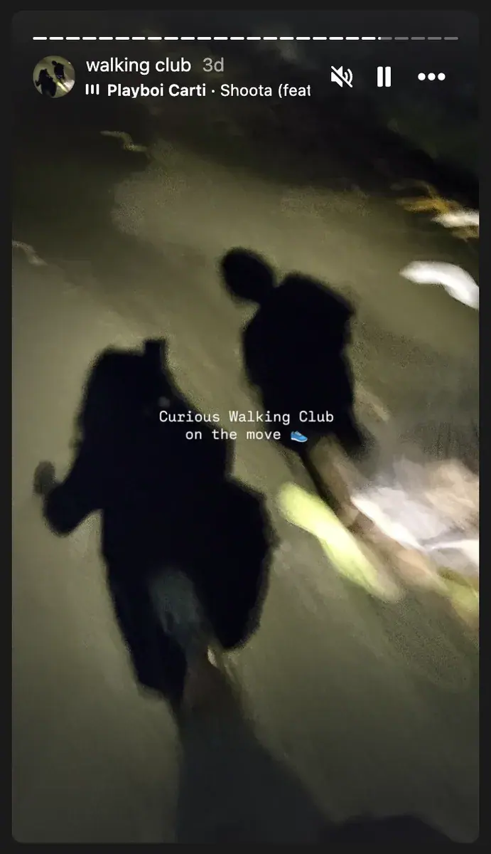 Curious Walking Club — New Delhi #2 · Friends of Screate Labs poster