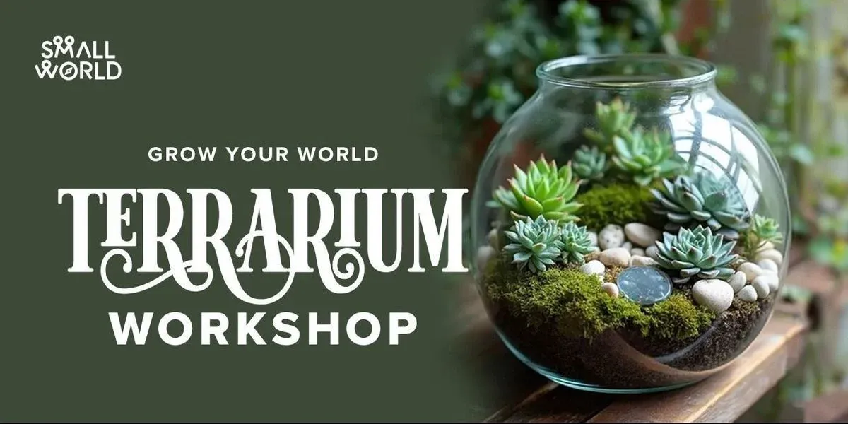 DIY Terrarium