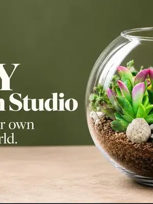 DIY Terrarium Studio poster