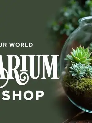 DIY Terrarium Workshop poster