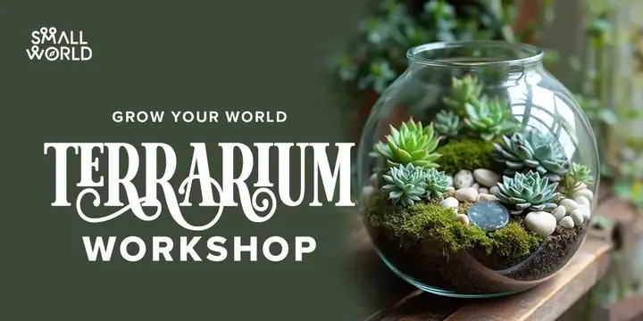 DIY Terrarium Workshop poster