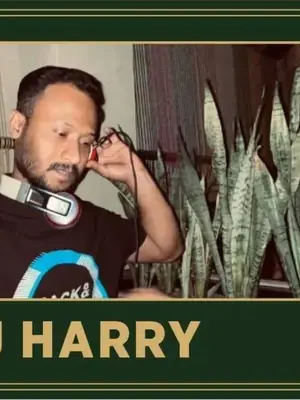 DJ Harry poster