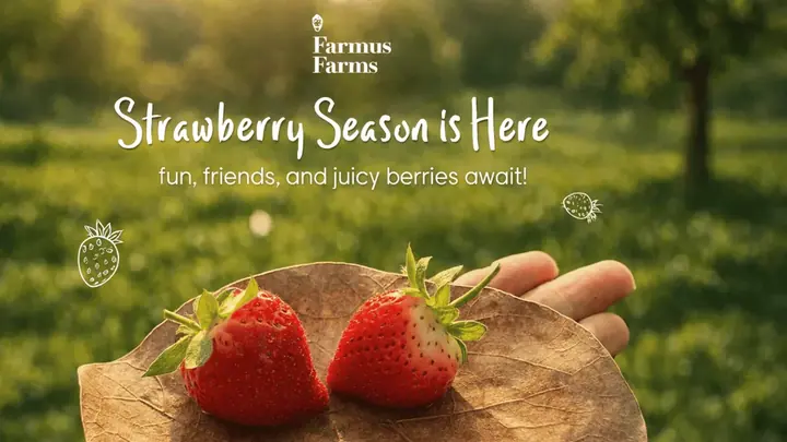 Farmus Farms: Farm Picking Experience poster