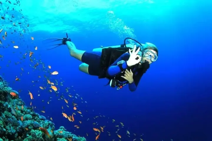 Fifty Shades of Blue Andamans poster