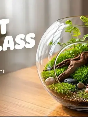 Forest In A Grass Bowl poster