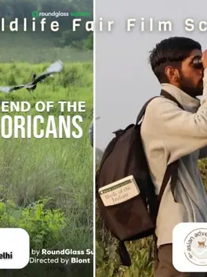 Global Wildlife Fair Film Screening - Wildlife Conservation and Community Champions poster