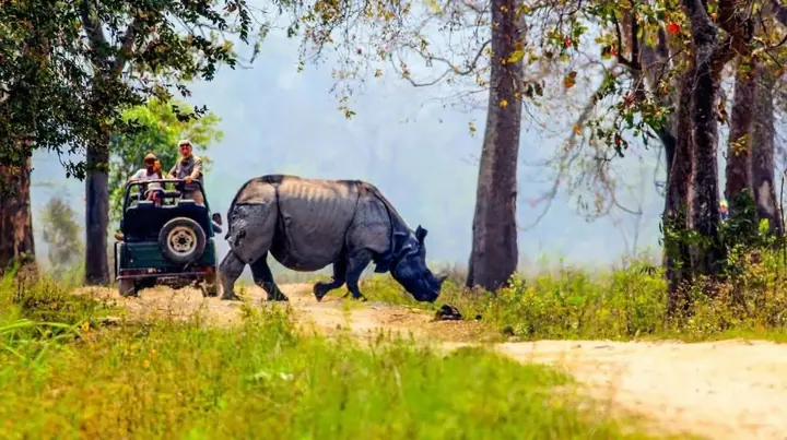 Kaziranga & Meghalaya poster