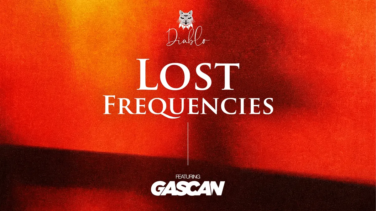 Lost Frequencies