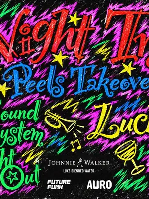 Night Train: Peels Records & Bar poster