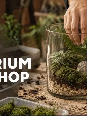 Open Terrarium Workshop poster