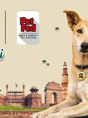 Pet Fed Delhi 2026 poster