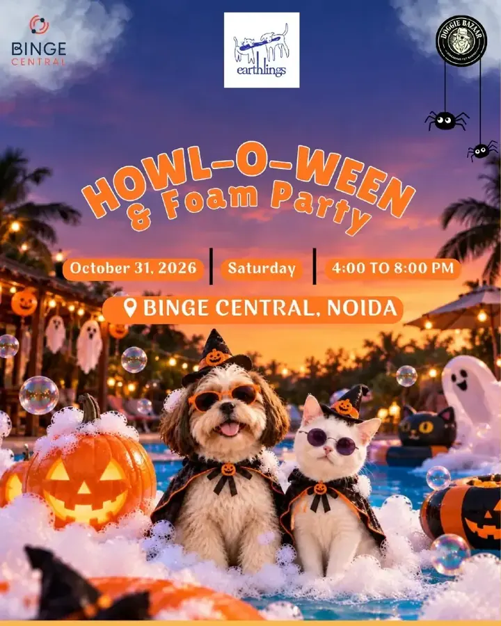 Pet Palooza: Howloween Party & Foam Festival Noida poster