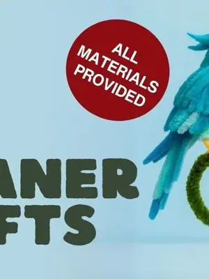 Pipe Cleaner Crafts poster