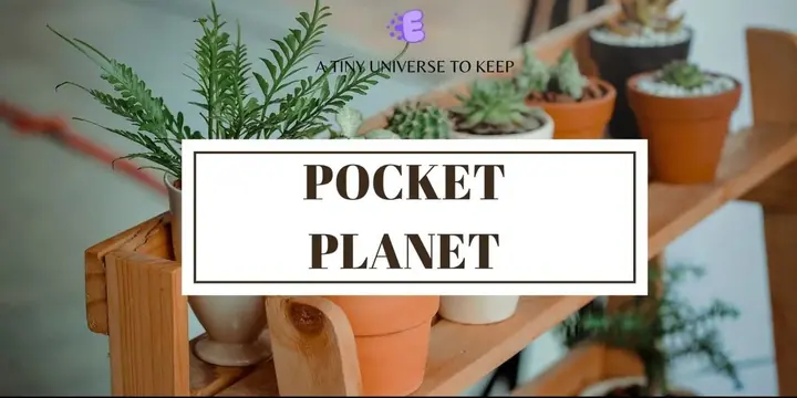 Pocket Plant poster