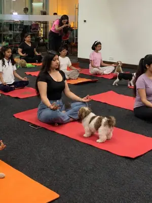 Puppiezo Puppy Yoga poster