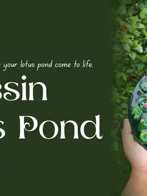 Resin Lotus Pond poster