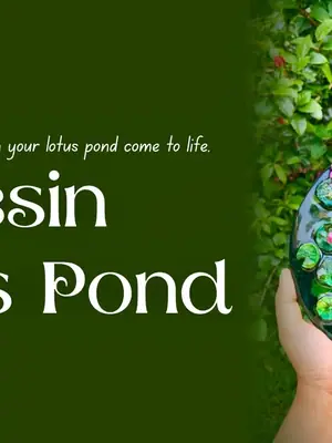 Resin Lotus Pond poster