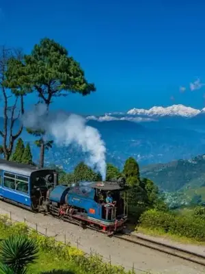 Tea Trails | Sikkim Darjeeling poster