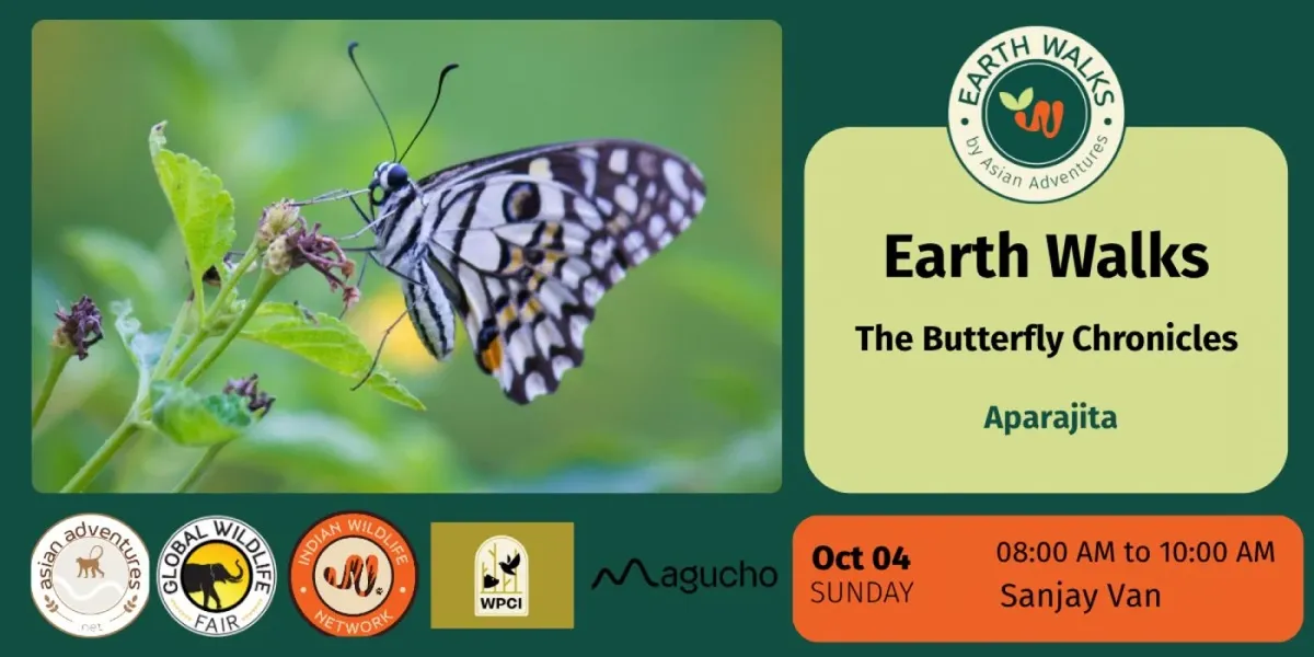 The Butterfly Chronicles at Sanjay Van